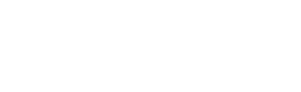 Premier San Miguel House Rental & Concierge Logo